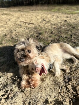 The Inspiring Moments